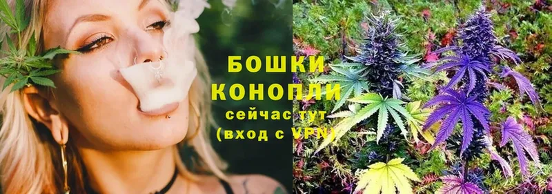 как найти закладки  OMG рабочий сайт  Конопля тримм  Новодвинск 